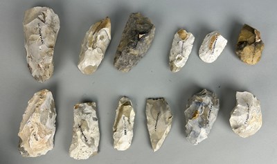 Lot 194 - A COLLECTION OF TWELVE NEOLITHIC TOOLS FROM...