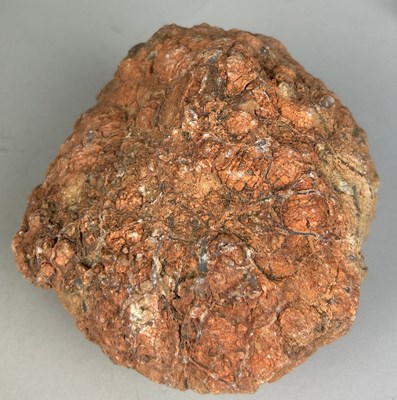 Lot 198 - A DINOSAUR 'COPROLITE' OR FOSSIL POO FROM...