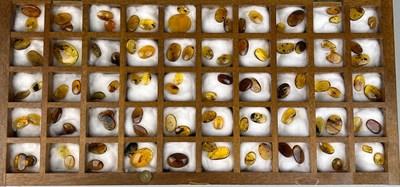 Lot 240 - A LARGE COLLECTION OF AMBER WITH INSECT...