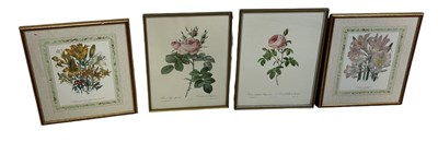 Lot 549 - FOUR BOTANICAL PRINTS