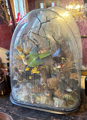 Lot 71 - A VICTORIAN GLASS DOME WITH TAXIDERMY BIRD...