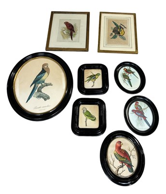 Lot 888 - ORNITHOLOGICAL INTEREST: EIGHT FRAMED BIRD PRINTS, INCLUDING SCARLET LORYS