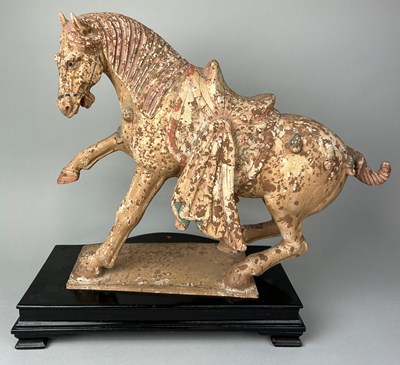 Lot 303 - A CHINESE TANG STYLE TERRACOTTA HORSE WITH...