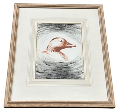 Lot 809 - SIR PETER MARKHAM SCOTT (1909-1989): A CRAYON DRAWING ON PAPER DEPICTING A DUCKS HEAD