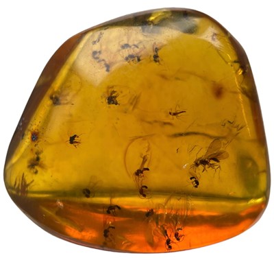 Lot 549 - MULTIPLE INSECT FOSSILS IN AMBER

A highly...