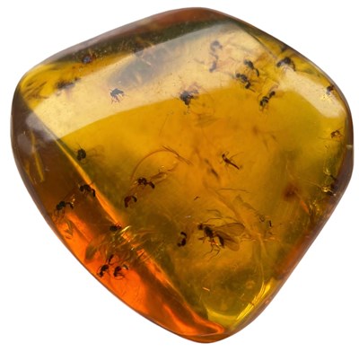Lot 549 - MULTIPLE INSECT FOSSILS IN AMBER

A highly...
