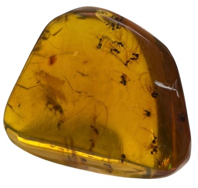 Lot 549 - MULTIPLE INSECT FOSSILS IN AMBER

A highly...