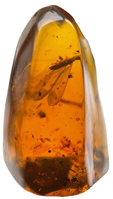 Lot 552 - A FLYING INSECT FOSSIL IN AMBER

A highly...