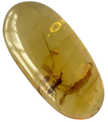 Lot 553 - A FOSSIL FLY IN DINOSAUR AGED BURMESE AMBER

A...