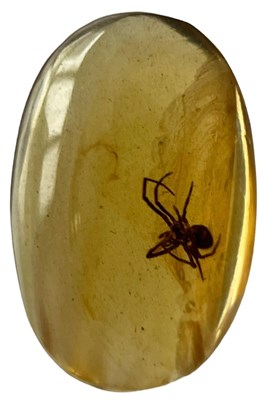 Lot 555 - A SPIDER FOSSIL IN DINOSAUR AGED AMBER

A...