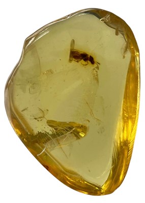 Lot 557 - A FOSSIL BEE IN CLEAR AMBER GEM

A highly...