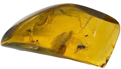 Lot 560 - A FOSSIL FLY IN DINOSAUR AGED BURMESE AMBER

A...