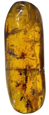 Lot 562 - A SWARM OF BEES IN AMBER

A swarm of highly...