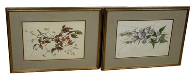 Lot 789 - MARY GRIERSON (BRITISH): TWO BOTANICAL...