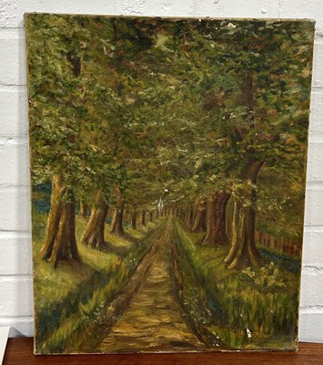 Lot 451 - AN OIL PAINTING ON CANVAS DEPICTING A FOREST PATH LINED WITH TREES