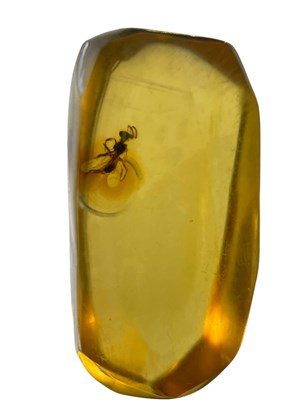 Lot 417 - A FOSSIL BEE IN CLEAR AMBER GEM

A highly...