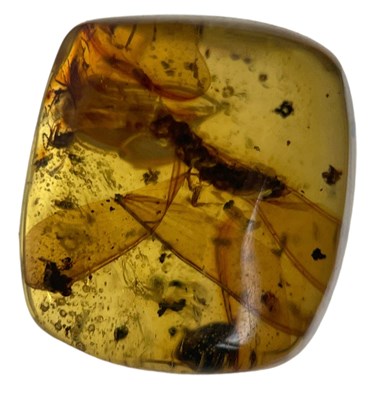 Lot 418 - A FOSSIL FLY IN CLEAR AMBER GEM

A highly...