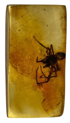 Lot 422 - A SPIDER FOSSIL IN DINOSAUR AGED AMBER

A...