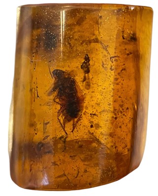 Lot 425 - AN UNKNOWN INSECT FOSSIL IN DINOSAUR AGED...