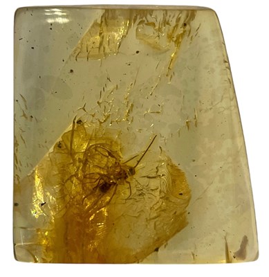 Lot 428 - A FOSSIL WASP IN BALTIC AMBER

A detailed wasp...