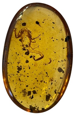 Lot 430 - A SCORPION FOSSIL IN DINOSAUR AGED BURMESE...