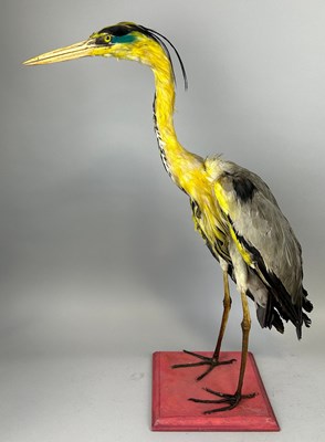 Lot 435 - A TAXIDERMY CRANE, 

75cm H