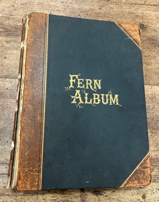 Lot 451 - A RARE FERN ALBUM CIRCA 1880 BY W&J BIRKENHEAD,...