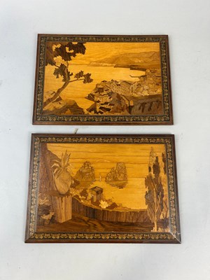 Lot 473 - A PAIR OF MARQUETRY PLAQUES, 

35cm x 25cm