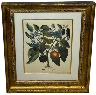 Lot 692 - A LARGE FRAMED BOTANICAL PRINT IN A TROWBRIDGE...