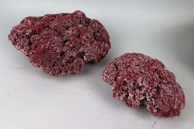 Lot 357 - NATURAL HISTORY: DECORATIVE RED CORAL