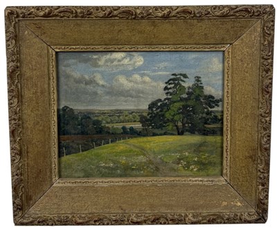 Lot 663 - AN OIL PAINTING ON BOARD DEPICTING A LANDSCAPE SCENE, FIELD WITH TREES