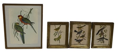 Lot 843 - FOUR ORNITHOLOGICAL PRINTS