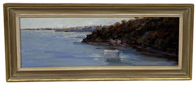 Lot 666 - AN AUSTRALIAN OIL PAINTING ON BOARD DEPICTING A COASTAL SCENE SIGNED 'WILLIAMS'