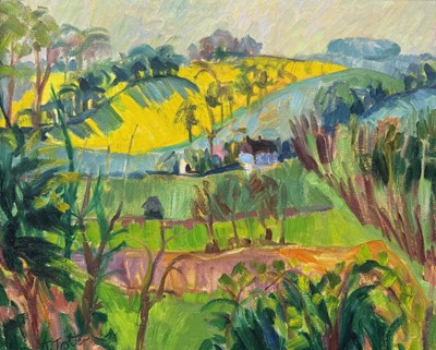 Lot 583 - JOSEPHINE TROTTER (BRITISH B.1940): AN OIL PAINTING ON CANVAS DEPICTING A LANDSCAPE VIEW