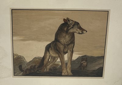 Lot 789 - MAURICE AND EDWARD DETMOLD: TWO PRINTED ILLUSTRATIONS FOR RUDYARD KIPLING'S 'THE JUNGLE BOOK'