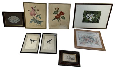 Lot 794 - A GROUP OF PRINTS TO INCLUDE BOTANICAL