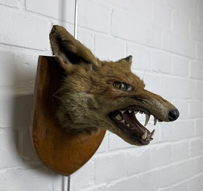 Lot 287 - A TAXIDERMY FOX MASK BY ARMY AND NAVY