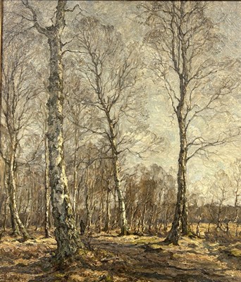 Lot 767 - CARL HANSEN (DANISH, 20TH CENTURY): AN OIL PAINTING ON CANVAS DEPICTING A WOODLAND SCENE WITH SILVER BIRCH TREES