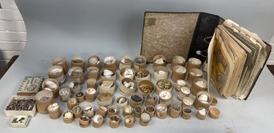 Lot 403 - AN EXTENSIVE FOSSIL COLLECTION