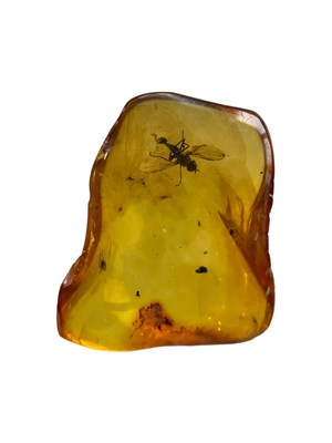 Lot 445 - A FLYING INSECT FOSSIL IN BALTIC AMBER