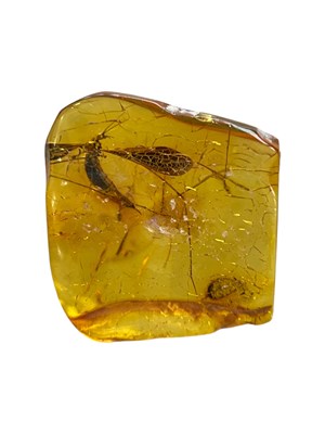 Lot 447 - A FLYING INSECT FOSSIL IN BALTIC AMBER