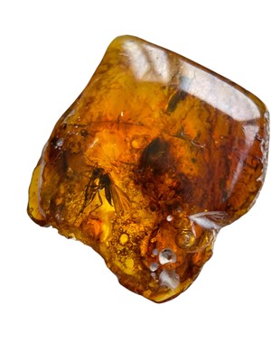 Lot 448 - A MOSQUITO FOSSIL IN BALTIC AMBER