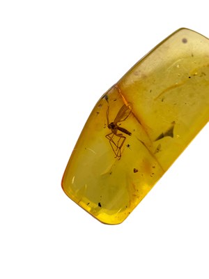 Lot 451 - A FLYING INSECT FOSSIL IN BALTIC AMBER