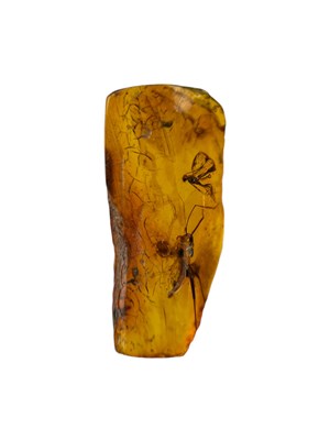 Lot 453 - A PAIR OF FLYING INSECTS FOSSIL IN BALTIC AMBER