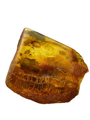 Lot 442 - A FLYING INSECT FOSSIL IN LARGE BALTIC AMBER