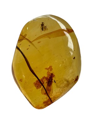 Lot 443 - A BEE AND TERMITE FOSSIL IN LARGE AMBER