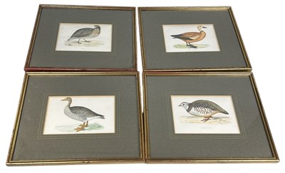 Lot 948 - A SET OF FOUR 19TH CENTURY HAND COLOURED BIRD PRINTS (4)