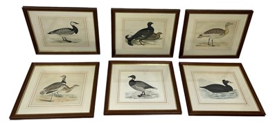 Lot 826 - A SET OF SIX 19TH CENTURY HAND COLOURED PRINTS DEPICTING BIRDS