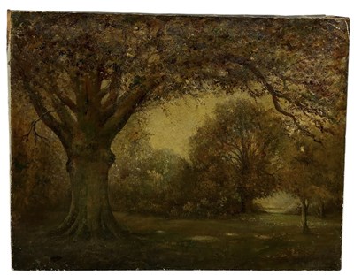 Lot 426 - AN OIL PAINTING ON CANVAS DEPICTING A WOODLAND SCENE