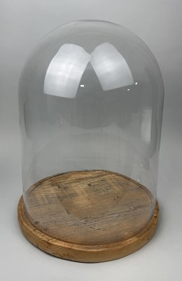 Lot 792 - A GLASS DOME WITH WOODEN BASE